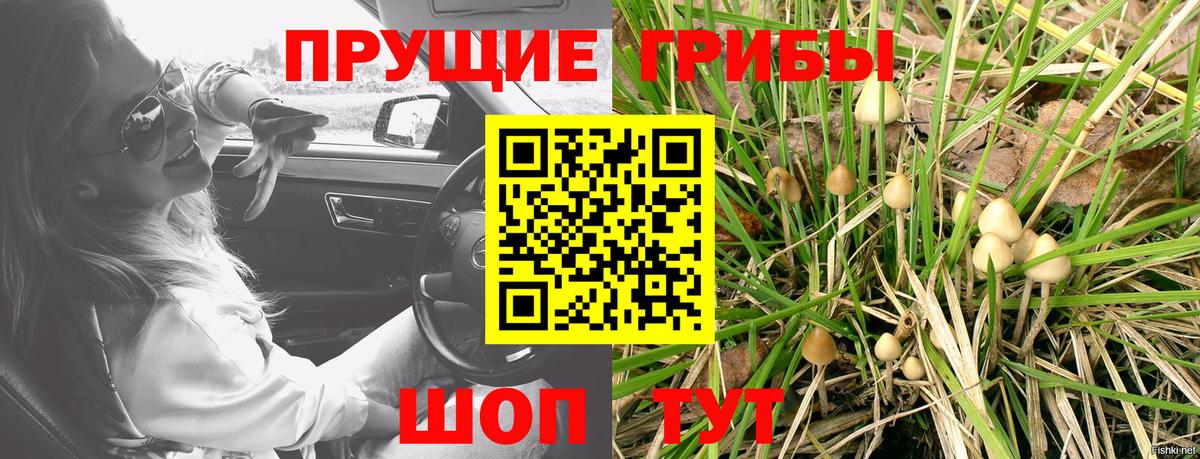 Псилоцибиновые грибы MAGIC MUSHROOMS  где продают   Смоленск  Вход с VPN  Галлюциногенные грибы Psilocybine cubensis 